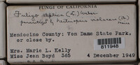 Image Associated With the Occurence